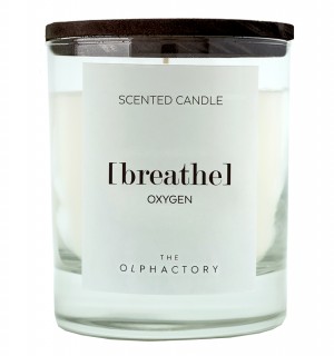 Свеча ароматическая the olphactory, breathe black, Кислород, 40 ч 