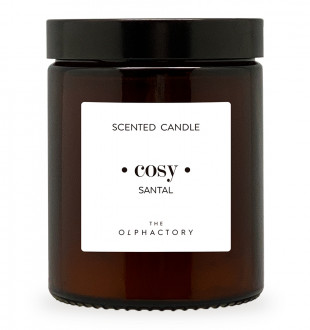 Свеча ароматическая the olphactory, cozy, santal, 30 ч 
