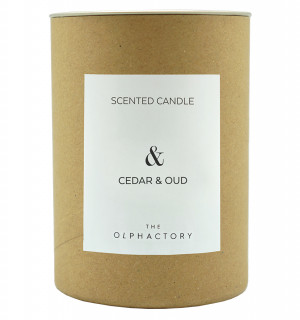 Свеча ароматическая the olphactory, &, cedar&oud, 40 ч 