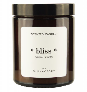 Свеча ароматическая the olphactory, bliss, green rhubarb, 30 ч 