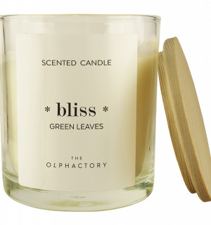 Свеча ароматическая the olphactory, bliss, green rhubarb, 40 ч 